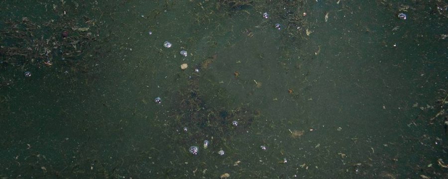 aigua-contaminada-femevi